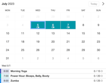 Example of a SuperSaaS widget-type schedule on a tablet device for sports lessons