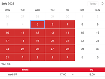 Example of a SuperSaaS widget-type schedule on a tablet device for personal trainers